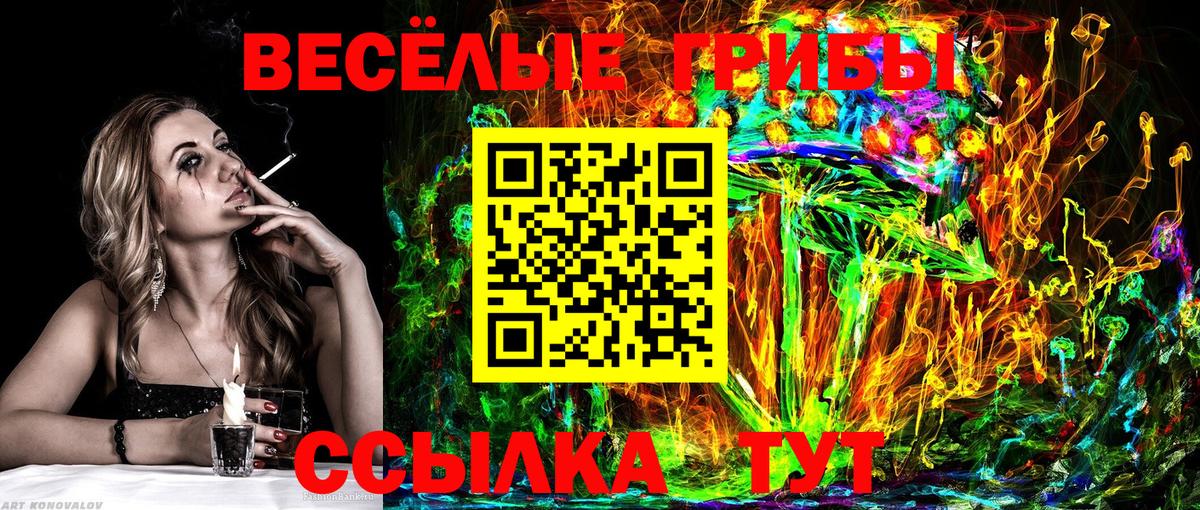 Псилоцибиновые грибы Cubensis Кингисепп